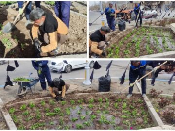 کاشت گل‌های فصلی، میادین شهر را مزین کرد