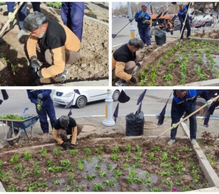 کاشت گل‌های فصلی، میادین شهر را مزین کرد