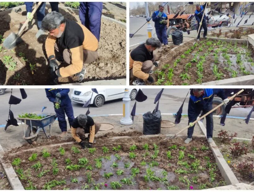 کاشت گل‌های فصلی، میادین شهر را مزین کرد
